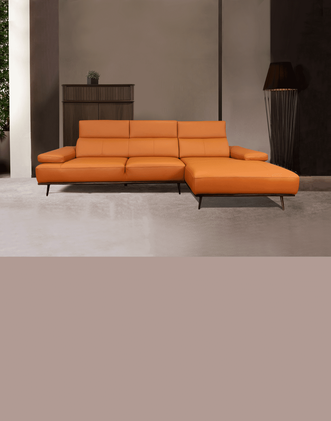 Leather Sofa Furniture