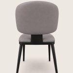 GJY-ZY-1007-DCH back