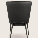 GJY-ZY-2625-DCH back