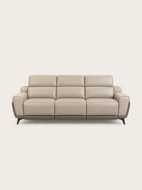 Alden zero gravity power recliner sofa in full leather
