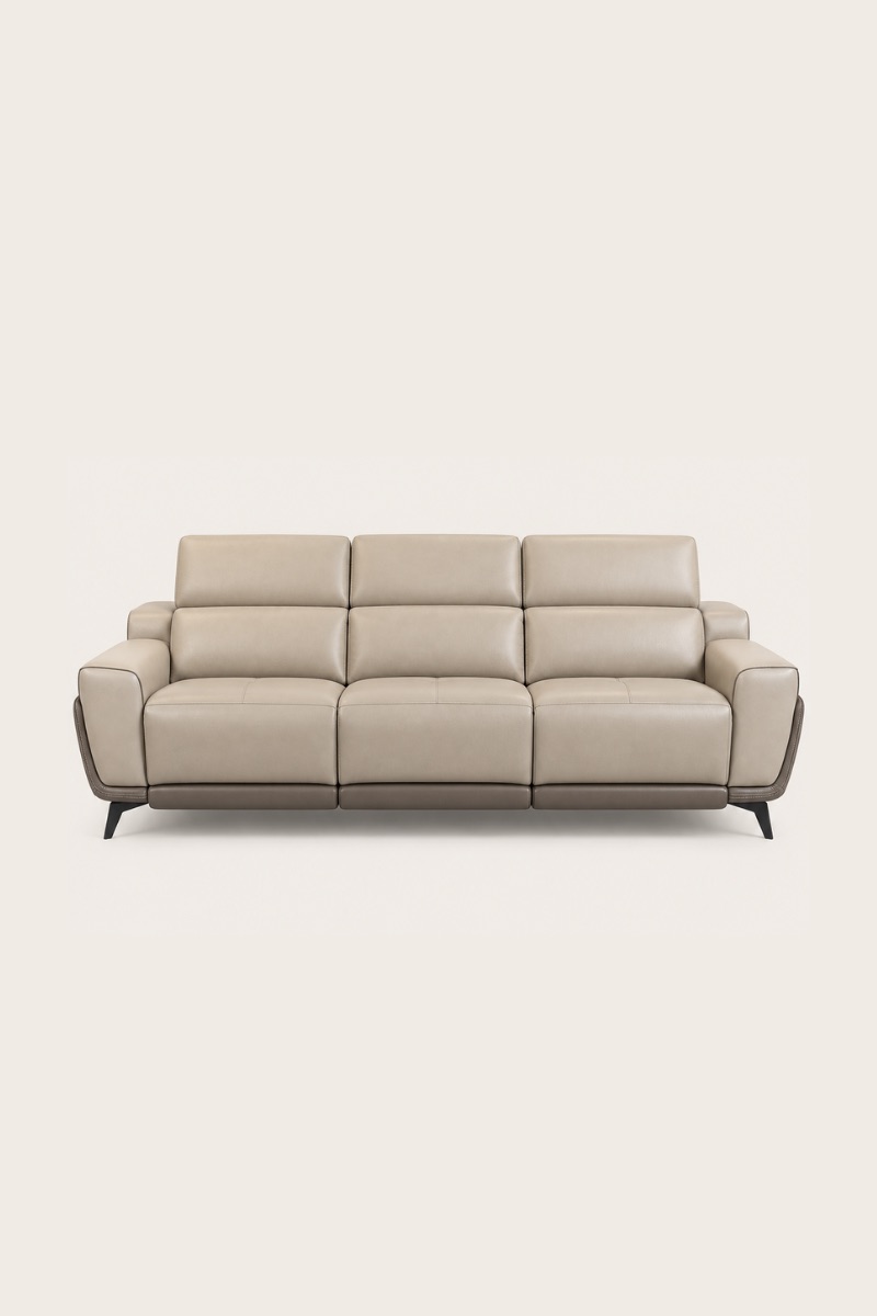 Alden zero gravity power recliner sofa in full leather